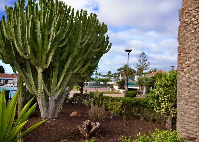 En Holiday home Playa del Ingles (Gran Canaria)