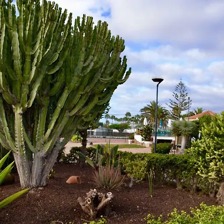 En בית נופש פלאייה דל אינגלז